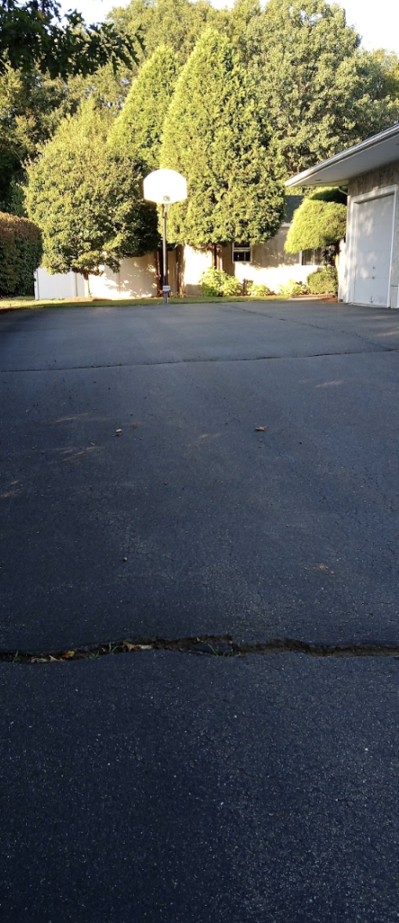 This image shows a smooth asphalt driveway surface.