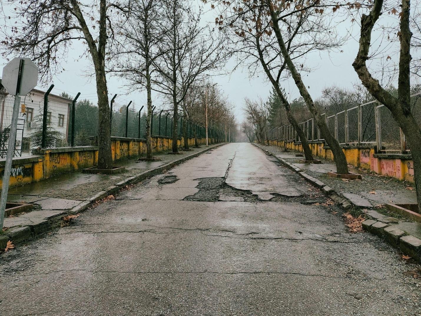 cracks in an asphalt road